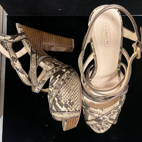 Coach Python Skin Platform Sandal - Picture 1 of 9
